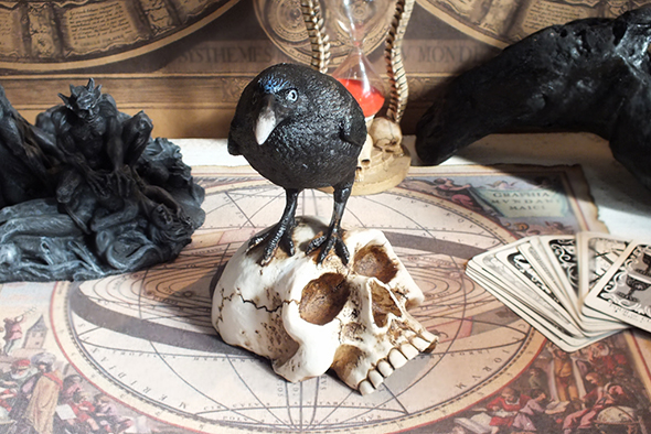 レイヴン オン スカル スタチュー(像)Raven on Skull Statue Figure