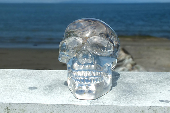 スモールクリスタル スカルヘッド クリア Translucent Clear Small Skull