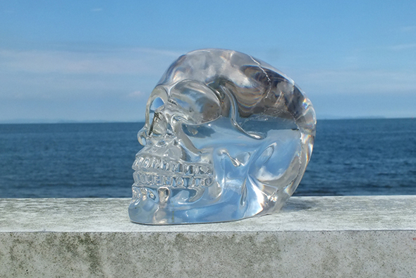 スモールクリスタル スカルヘッド クリア Translucent Clear Small Skull