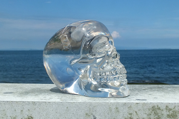 スモールクリスタル スカルヘッド クリア Translucent Clear Small Skull