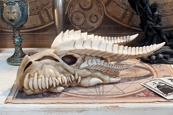 ドラゴンスカル スケルトンフィギュア Dragon Skull Skeleton Figurine [不思議雑貨店ネバーランド]