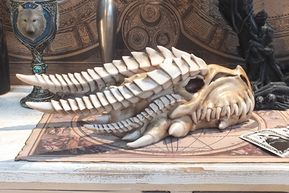 ドラゴンスカル スケルトンフィギュア Dragon Skull Skeleton Figurine 