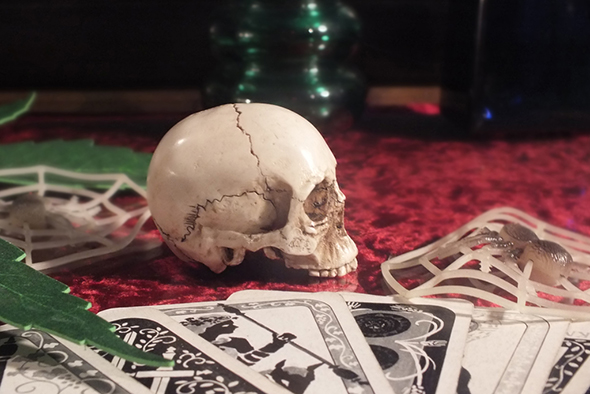 スモール リアルスカルヘッド(顎無し) Small Real Skull Head 