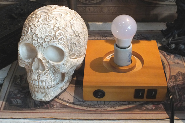 フローラルスカルシェード テーブルランプ Day of the Dead Floral Skull Lamp 