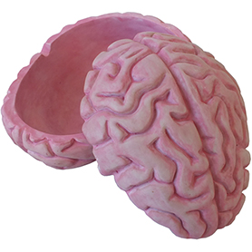 ゾンビブレイン(脳)装飾小物入れボックス Zombie Brain Box