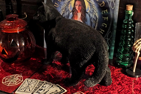 ブラックキャット 黒猫の置物 Black Cat Statue [不思議雑貨店 