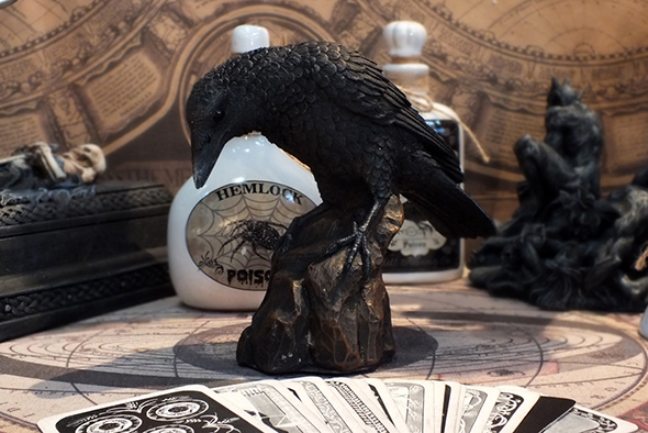 レイヴン スタチュー(像) カラスの置物 Raven on rocky Statue 8729