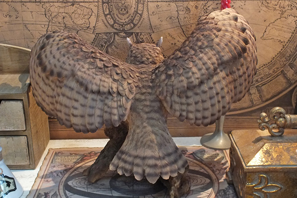 イーグルフクロウ オープンウィング ラージ スタチュー(像) Eagle Owl On Branch with Open Wings large Statue
