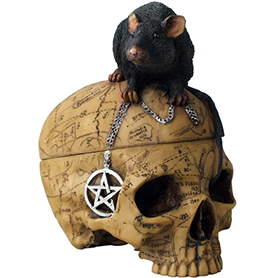 セーラム ウィッチ スカルヘッドボックス Salem Witch Skull Box with Mouse Pentagram