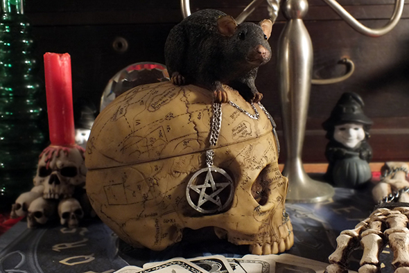 セーラム ウィッチ スカルヘッドボックス Salem Witch Skull Box with Mouse Pentagram