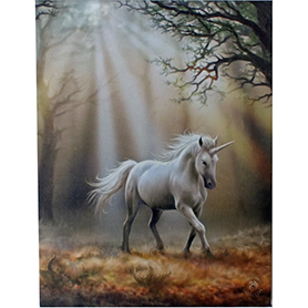 アンストークス ユニコーンキャンバスアートプリントフレーム Anne Stokes Glimpse Of A Unicorn Canvas Picture 
