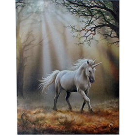 アンストークス ユニコーンキャンバスアートプリントフレーム Anne Stokes Glimpse Of A Unicorn Canvas Picture