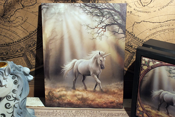 アンストークス ユニコーンキャンバスアートプリントフレーム Anne Stokes Glimpse Of A Unicorn Canvas Picture 
