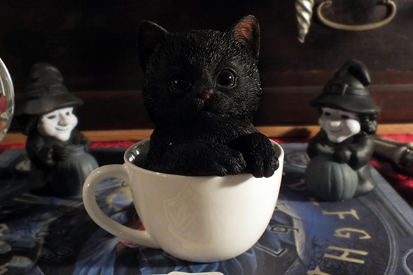 ティーカップinブラックキャット スタチュー 黒猫/子猫の置物 Teacup Kitten Black Cat Statue  
