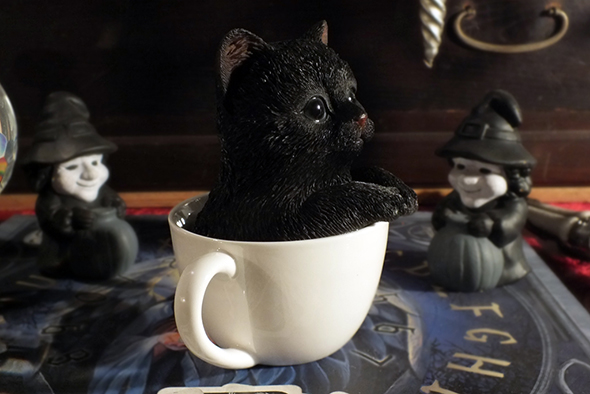 ティーカップinブラックキャット スタチュー 黒猫/子猫の置物 Teacup Kitten Black Cat Statue  
