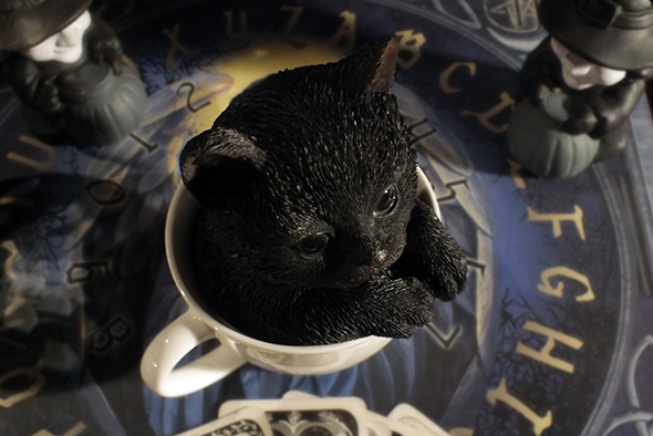 ティーカップinブラックキャット スタチュー 黒猫/子猫の置物 Teacup Kitten Black Cat Statue  
