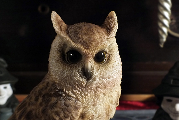 ワシミミズクスタチュー(像)サウンドセンサー付フィギュア Eagle Owl Statue with Sound  
