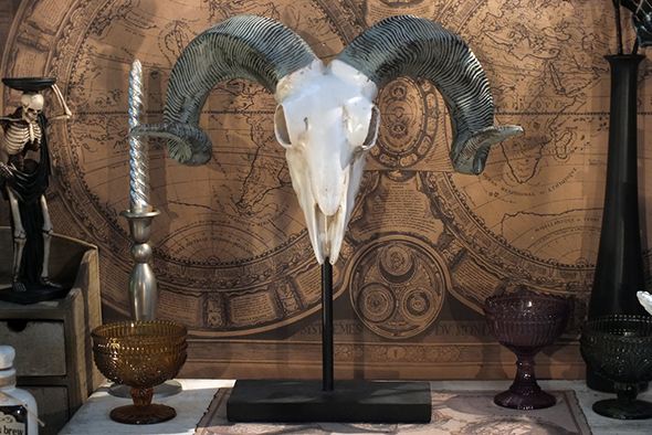 ラムスカルヘッド(雄羊の頭蓋骨)インテリア スタンド オブジェ Ram Skull on Stand 