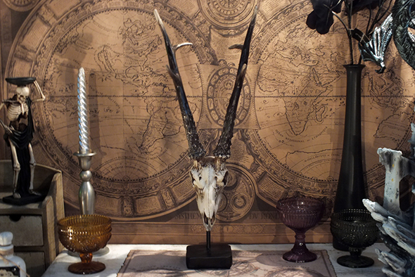 アンテロープスカルヘッド(羚羊の頭蓋骨)インテリア スタンド オブジェ PartⅠ Antelope Skull on Stand PartⅠ