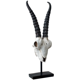 アンテロープスカルヘッド(羚羊の頭蓋骨)インテリア スタンド オブジェ PartⅡ Antelope Skull on Stand  PartⅡ