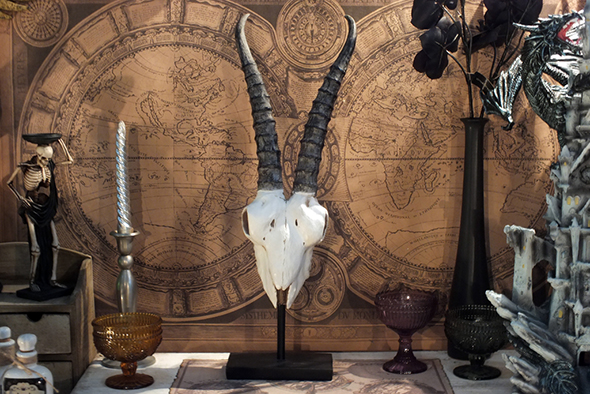 アンテロープスカルヘッド(羚羊の頭蓋骨)インテリア スタンド オブジェ PartⅡ Antelope Skull on Stand PartⅡ
