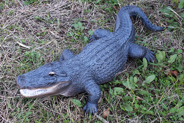 ラージアリゲーター(ワニ)フィギュア Wildlife Large Alligator Figurine 