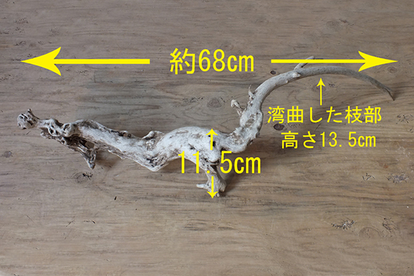 【1点もの】ドリフトウッド 海の木 流木 木の株・根っこ/オブジェ/ディスプレイ「N-4」