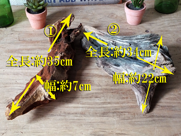 【1点もの】ドリフトウッド 海の木 流木2点セット オブジェ/ディスプレイ「N-14」